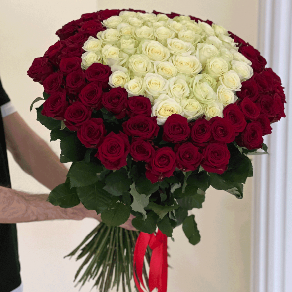 101 роза красная и в середине белая в Коктебеле