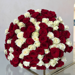 101 красная и белая роза микс