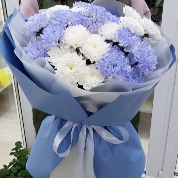 7 белых и голубых хризантем  в Коктебеле