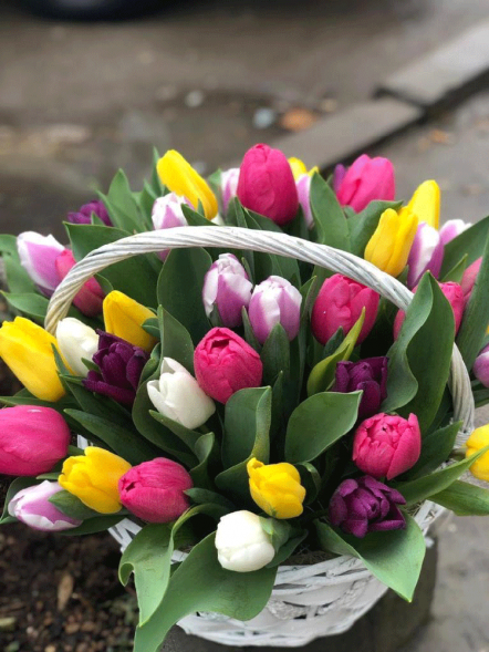 41 тюльпан микс в корзине в Коктебеле