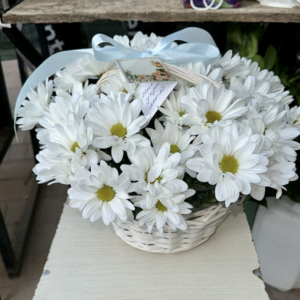 Композиция  «Хризантемы в корзине» в Коктебеле