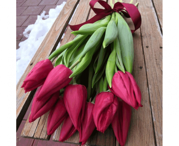 11 красных тюльпанов, лента в Коктебеле