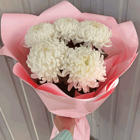 Букет 5 одноголовых хризантем в Коктебеле