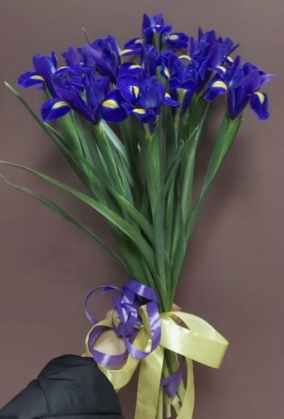 Букет 11 ирисов  в Коктебеле
