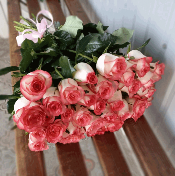 31 розовая роза в Коктебеле