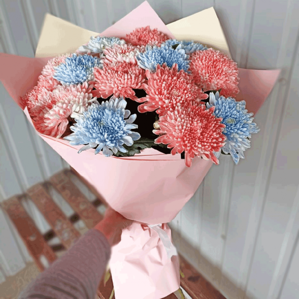 15 одноголовых хризантем микс в Коктебеле