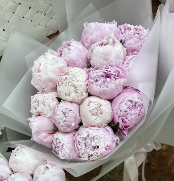 15 пионов Сара Бернар в Коктебеле